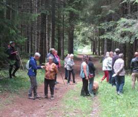 Sortie sylviculture du 20 juin en forêt de Pradelles - 3ième station