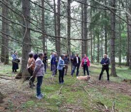 Sortie sylviculture du 20 juin en forêt de Pradelles - Quel arbre à couper en priorité ?