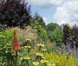 Sortie 2020 à La Panouse chez Didier Baduel - Exubérance florale