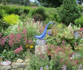 Sortie 2020 à La Panouse chez Didier Baduel - Haut de jardin