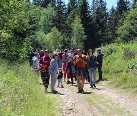 Sortie arboretum Scientifique Curie au col des 3 soeurs du 4 juillet 2020 - Au gré de la pente