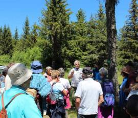 Sortie arboretum Scientifique Curie au col des 3 soeurs du 4 juillet 2020 - Auditoire attentif