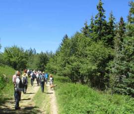 Sortie arboretum Scientifique Curie au col des 3 soeurs du 4 juillet 2020 - Charles en contemplation