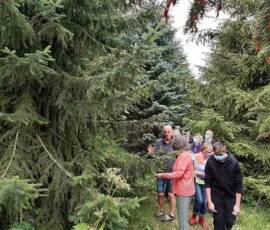 Sortie du 15 juillet chez Christian Lyotard à Pradelles - Ordre non chronologique de la visite ... on attaque les grands arbres !