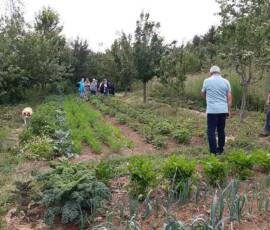 Sortie du 15 juillet chez Christian Lyotard à Pradelles - Le potager