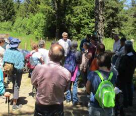 Sortie arboretum Scientifique Curie au col des 3 soeurs du 4 juillet 2020 - Début des explications