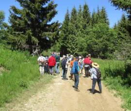 Sortie arboretum Scientifique Curie au col des 3 soeurs du 4 juillet 2020 - La balade en contrebas se poursuit