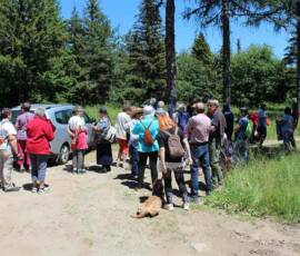 Sortie arboretum Scientifique Curie au col des 3 soeurs du 4 juillet 2020 - Nous étions nombreux à ce RDV !