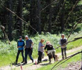 Sortie arboretum Scientifique Curie au col des 3 soeurs du 4 juillet 2020 - Quelques retardataires