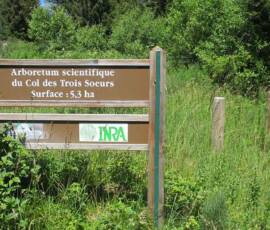 Sortie arboretum Scientifique Curie au col des 3 soeurs du 4 juillet 2020 - Signalétique au col