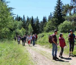 Sortie arboretum Scientifique Curie au col des 3 soeurs du 4 juillet 2020 - Sur le chemin du retour