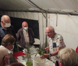 Conférence sur les Orchidées du 13 août 2020 - Pierre Richard Conférence sur les Orchidées du 13 août - Port du masque suivi à la lettre- Pierre Richard -