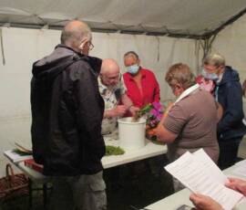 Conférence sur les Orchidées du 13 août 2020 - Pierre Richard Conférence sur les Orchidées du 13 août - Suite des travaux pratiquest 2020 - Pierre Richard -