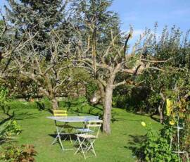 Atelier "taille des arbres à noyaux" du 07 octobre 2020 - C'est déjà plus propre !
