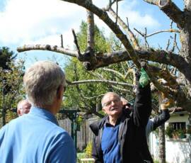 Atelier "taille des arbres à noyaux" du 07 octobre 2020 - Commentaires assurés par le président