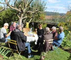Atelier "taille des arbres à noyaux" du 07 octobre 2020 - On est pas mal au soleil