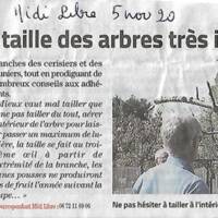 Article du Midi Libre en date du 5 novembre 2020 concernant l'atelier "Taille des arbres à noyaux"