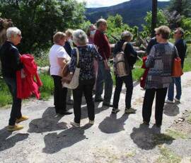 Sortie Ardéchoise du 25 mai 2021 - 18 Près de Rocles - regroupement pour la visite