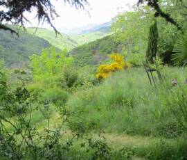 Sortie Ardéchoise du 25 mai 2021 - 30 Le jardin à flanc de colline