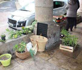 Atelier Troc de printemps de plantes & de plants en date du samedi 15 mai 2021 - L'objet du truc