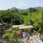 Sortie à Anduze du 16 juin 2021 - L'arrivée à la Bambouseraie