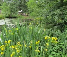 25ième Fête des plantes à Chavaniac Lafayette WE des 5 & 6 juin 2021 - 13 L'étang