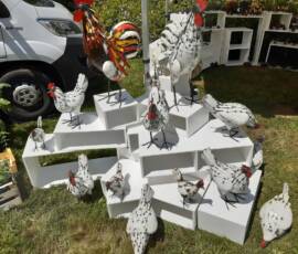 25ième Fête des plantes à Chavaniac Lafayette WE des 5 & 6 juin 2021 - 14 Les poulettes