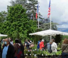 25ième Fête des plantes à Chavaniac Lafayette WE des 5 & 6 juin 2021 - 2 Exposants devant le château