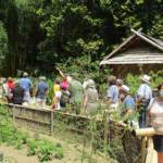 Sortie à Anduze du 16 juin 2021 - La visite se poursuit