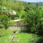Sortie à Anduze du 16 juin 2021 - Jardin japonais suite