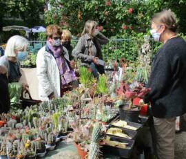 25ième Fête des plantes à Chavaniac Lafayette WE des 5 & 6 juin 2021 - 5 Stand des Plantes cactées