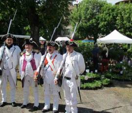 25ième Fête des plantes à Chavaniac Lafayette WE des 5 & 6 juin 2021 - 6 Les Grenadiers en représentation