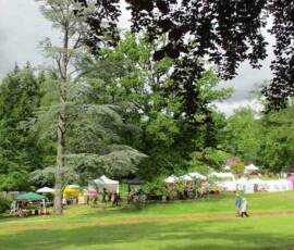 25ième Fête des plantes à Chavaniac Lafayette WE des 5 & 6 juin 2021 - 7 Sortie Exposants en contrebas