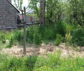 Café Compost : visite chez Julien à Fonfreyde le mardi 8 juin- Autre aspect du jardin