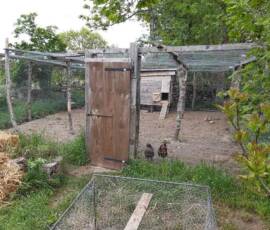 Café Compost : visite chez Julien à Fonfreyde le mardi 8 juin - Le poulailler sécurisé XXL