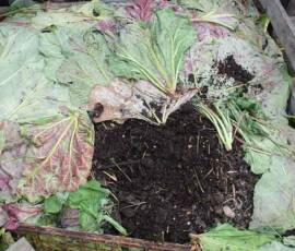 Café Compost : visite chez Merie France à Langogne le mercredi 9 juin - Le produit fini
