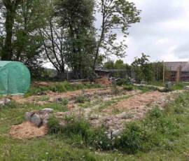 Café Compost : visite chez Julien à Fonfreyde le mardi 8 juin - Une partie du jardin