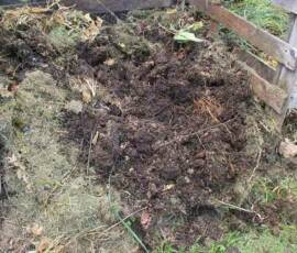 Café Compost : visite chez Merie France à Langogne le mercredi 9 juin - après aération