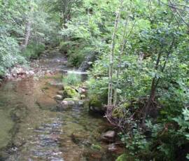 Visite du moulin de Masmejean le dimanche 27 juin 2021 - Rejet en aval du moulin