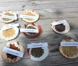 Visite du Moulin de Grandrieu en date du samedi 26 juin 2021 Visite du Moulin de Grandrieu en date du samedi 26 juin 2021 - Quizz sur les céréales