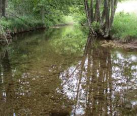 Visite du moulin de Masmejean le dimanche 27 juin 2021 - Le ruisseau de Masmejean