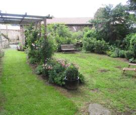 Visite du 09 août 2021 au jardin des Uffernets - Pergola aux rosiers