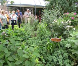 Visite du 09 août 2021 au jardin des Uffernets - Collation finale bienvenue