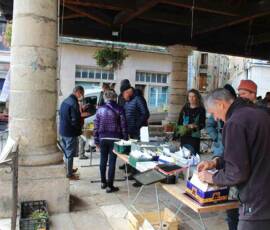 Atelier Troc d'automne de plantes & de graines 10 - on s'affaire !