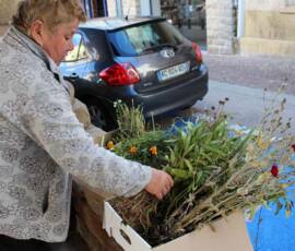 Atelier Troc d'automne de plantes & de graines 6 adjugée !