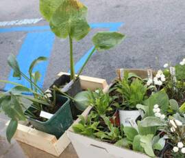 Atelier Troc d'automne de plantes & de graines 7 -barquette proposée