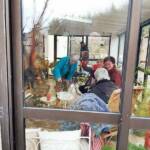 Taille des arbres à noyaux en date du mercredi 10 novembre 2021 chez les PIERRE(s) - Ces dames se restaurent !