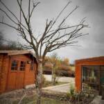 Taille des arbres à noyaux en date du mercredi 10 novembre 2021 chez les PIERRE(s) - Le prunus après taille (autre vue)