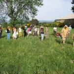 Visite de la ferme Bio du Gévaudan pour la fête de la Biodiversité du 22 mai 2022 - 12. On cherche, on trouve, on cueille pour l'atelier cuisine avec Anna diététicienne