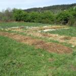 Troc de plantes et de graines du 14 mai 2022 - Quelques lignes préparées dont une avec pommes de terre